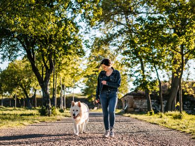 Woman and sheepdog walking together in a public park