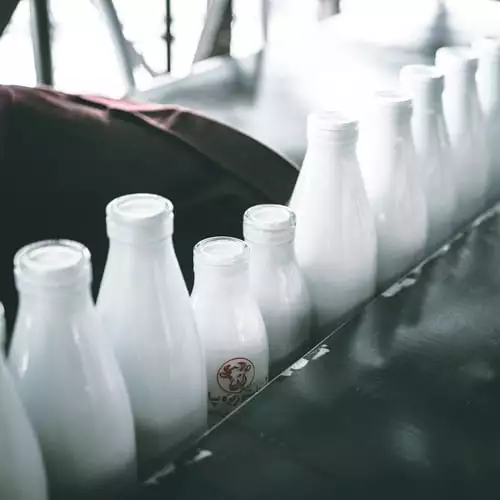 low car milk options