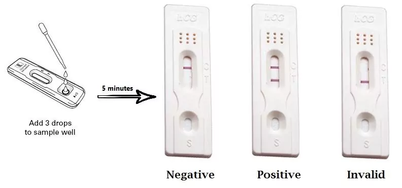 pregnancy test kit results
