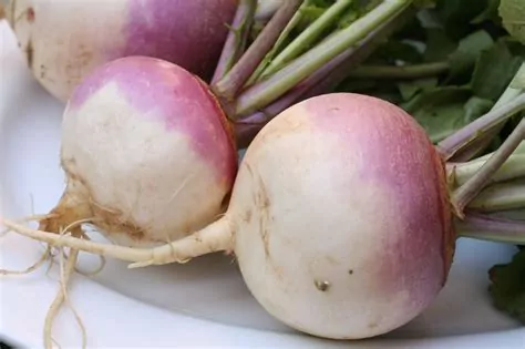 health benefits of Turnip
