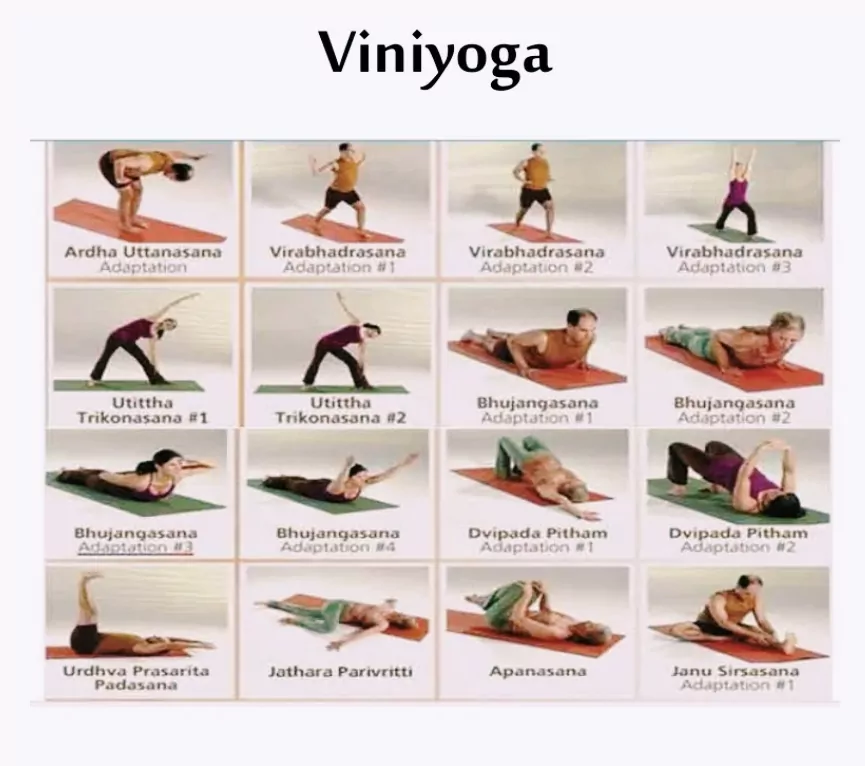 Viniyoga