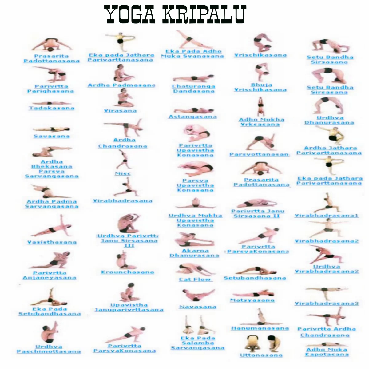 Yoga Kripalu