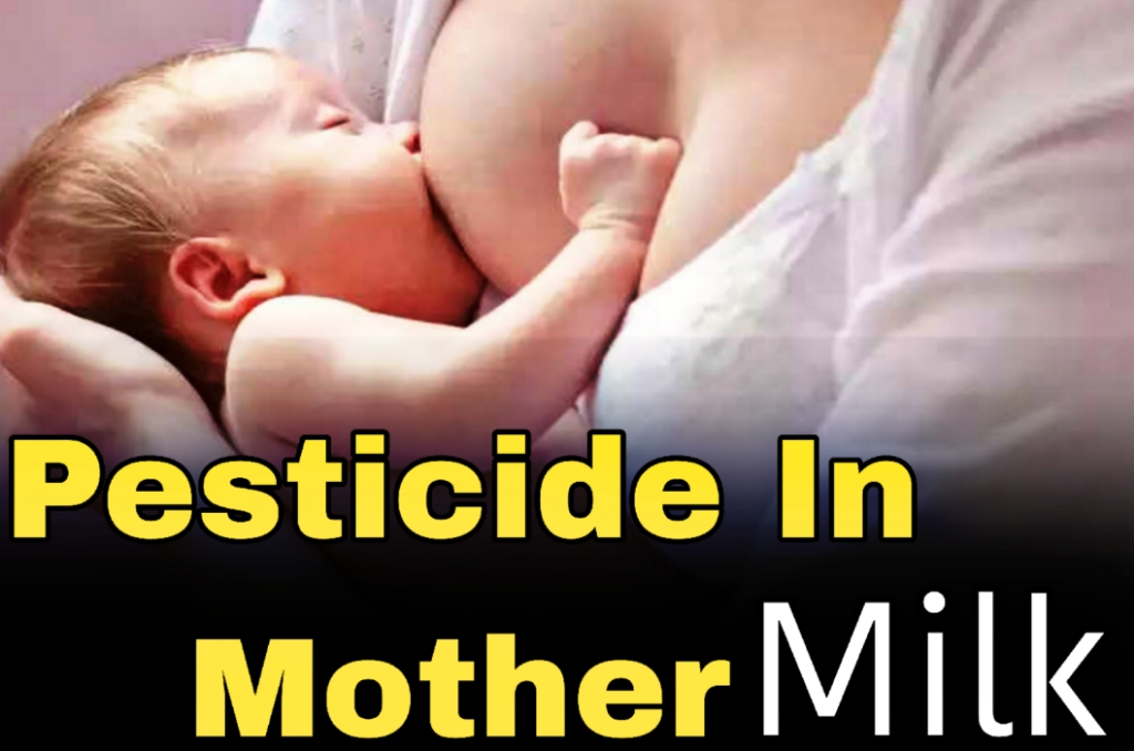 Pesticides in Mother’s Milk: Risk is high on eating non-veg, do this work to avoid it