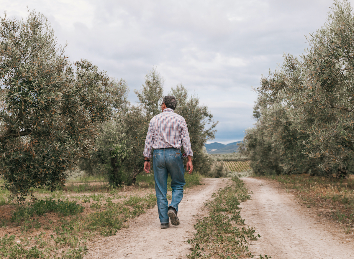 elderly man alone walking