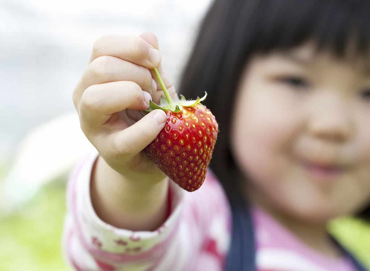 boy holding strawberry