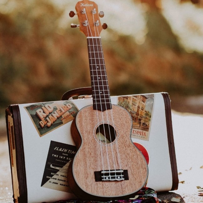 outdoor ukulele suitcase