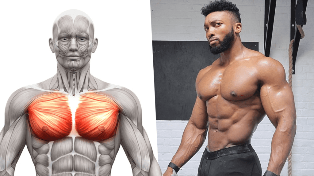 Upper Body Chest Muscles How To Get That Shredded Look Fast Weird Upper Chest Exercises