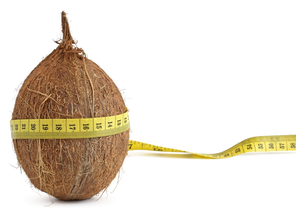 Coconut with tape measure