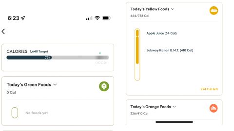 Noom provides a handy summary page that shows your daily progress for the types of food you're consuming.