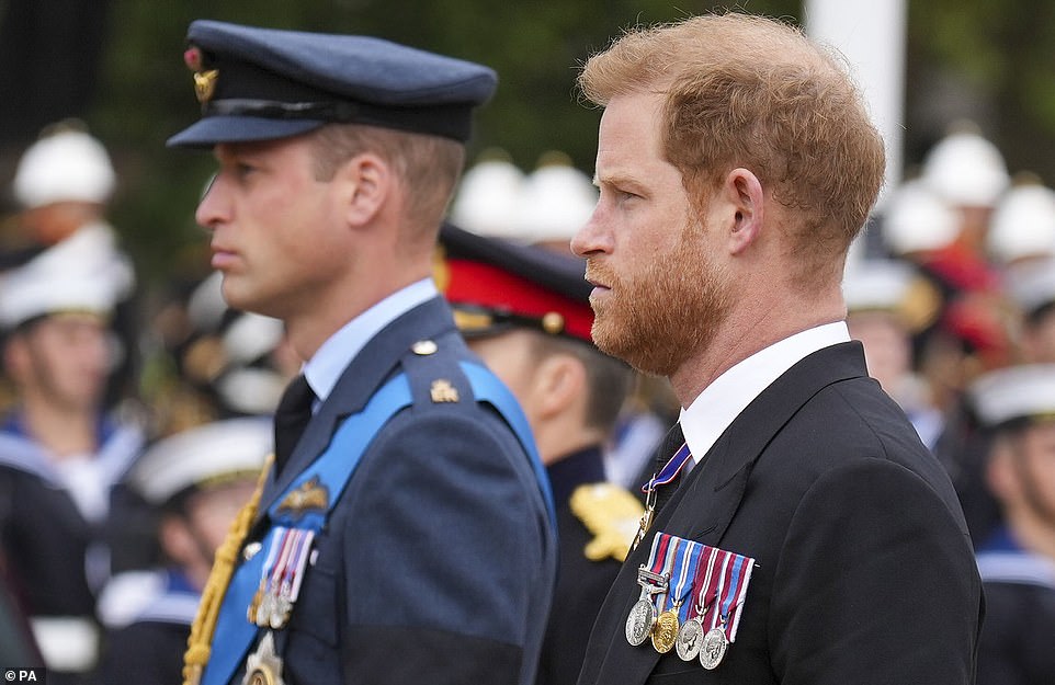 William has also suffered a deterioration in his relationship with brother Prince Harry (pictured at the Queen's funeral procession on September 19)